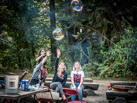 Adult Summer Camp 2018 Set 5-36