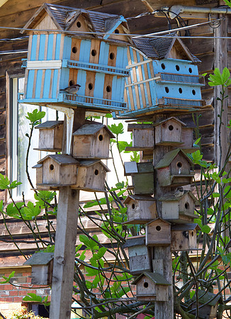 Sidney_BC Volkswalk May 2012-7