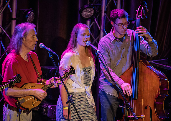 Deadgrass @ Road to Wintergrass 2018 @ Nectar Lounge-14