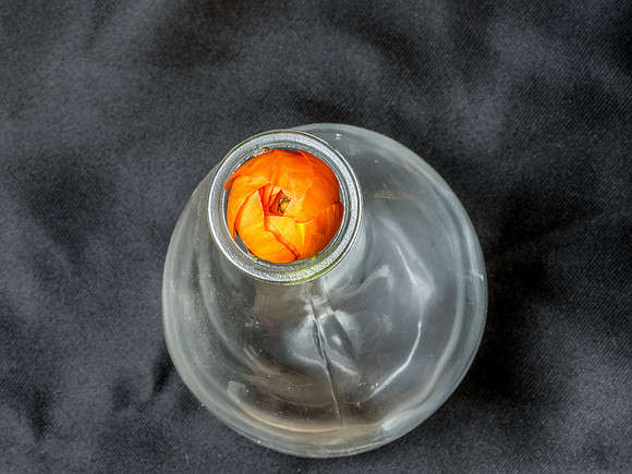 Ranunculus-6