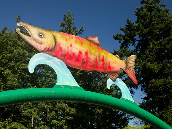 Bellingham Volkswalk 2011-10
