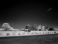 Dahmen Barn, Palouse May 2021