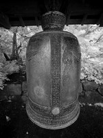 Kubota Gardens Infrared 6-5-22
