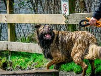 Marymoor Dog Park 3-29-25 Set 2