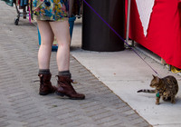 Boots of Folklife 2012-16