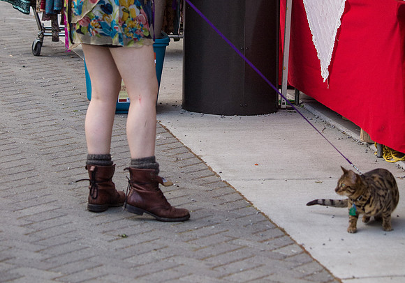 Boots of Folklife 2012-16
