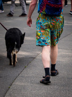 Northwest Folklife 2012 Set 1