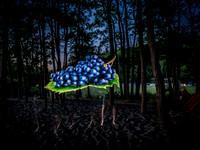 Lightpainting 6-18-18 @ Golden Gardens-2