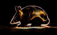 Fractilius