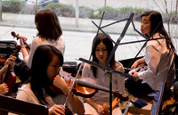 The Youth Symphony  @ Wintergrass 2011-7