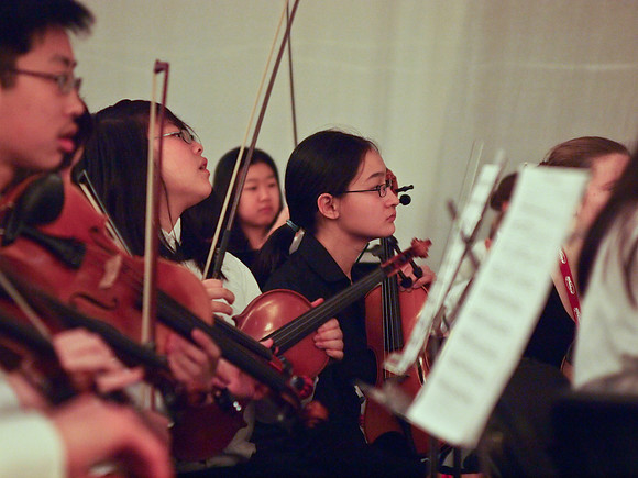 The Youth Symphony  @ Wintergrass 2011-23-2