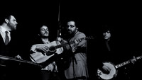 The Modern Grass-10
