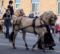 Syttende Mai Parade May 2012_-6