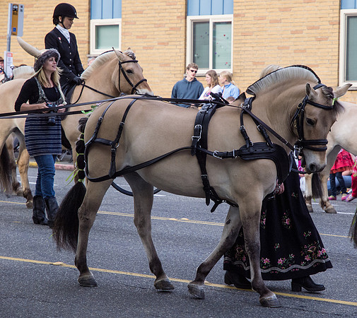 Syttende Mai Parade May 2012_-6
