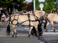 Syttende Mai Parade May 2012_-7
