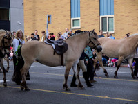 Syttende Mai Parade May 2012_-4