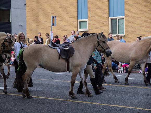 Syttende Mai Parade May 2012_-4