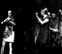 Crooked Still @ Wintergrass 2011-3