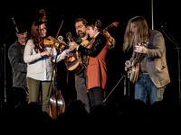 Wintergrass 2018 Jeff Scroggins & Colorado-15