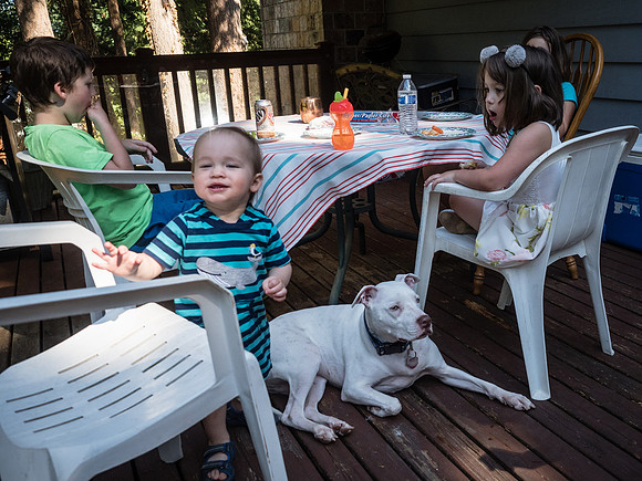 Allison & TJ's Leaving Seattle Party 2018-31