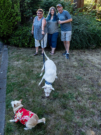 Allison & TJ's Leaving Seattle Party 2018-69