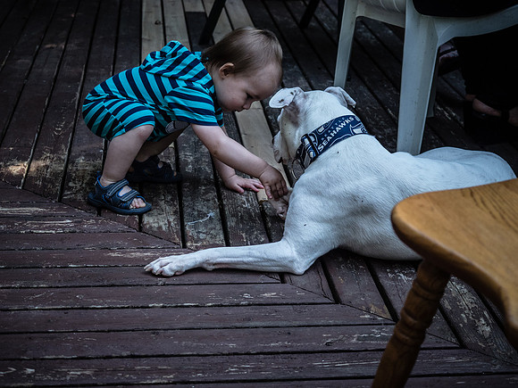 Allison & TJ's Leaving Seattle Party 2018-25