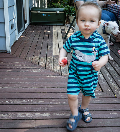 Allison & TJ's Leaving Seattle Party 2018-22