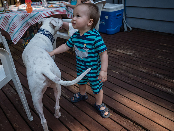 Allison & TJ's Leaving Seattle Party 2018-32