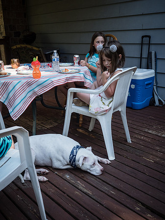 Allison & TJ's Leaving Seattle Party 2018-30