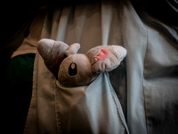 Sakura-Con 2018 Set 1-14