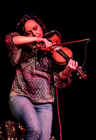 The Mammals @ Wintergrass 2018-10