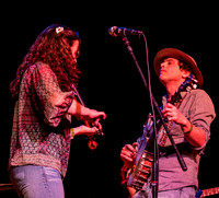 The Mammals @ Wintergrass 2018-8