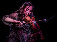 The Mammals @ Wintergrass 2018-18