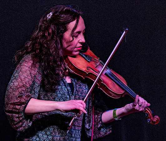 The Mammals @ Wintergrass 2018-5
