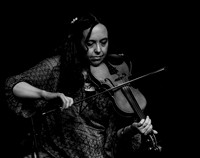 The Mammals @ Wintergrass 2018-17