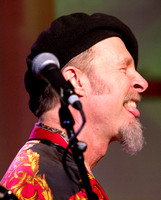 Joe Craven@ Wintergrass 2012-7