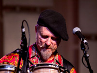Joe Craven@ Wintergrass 2012-8