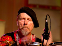 Joe Craven@ Wintergrass 2012-6