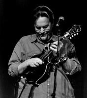 The Boxcars @ Wintergrass 2011-5