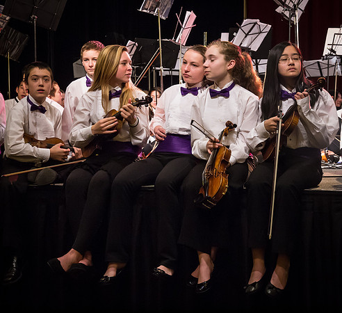 Wintergrass 2013 Youth Symphony-26