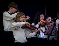 Wintergrass 2013 Youth Symphony-3