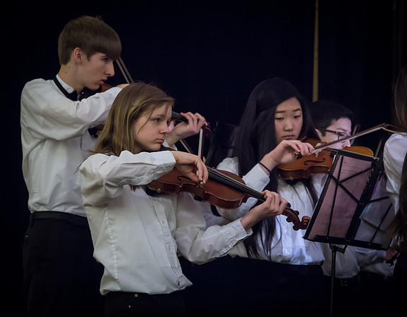 Wintergrass 2013 Youth Symphony-3