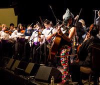 Wintergrass 2013 Youth Symphony-2