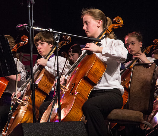 Wintergrass 2013 Youth Symphony-29