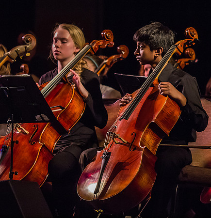 Wintergrass 2013 Youth Symphony-21