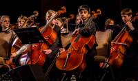 Wintergrass 2013 Youth Symphony-19