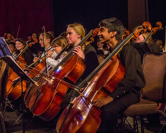 Wintergrass 2013 Youth Symphony-14