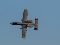 Abbotsford International Air Show 2018 Misc Pics-6