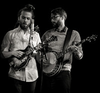 Wintergrass 2016 The Hounds Tooth Boys