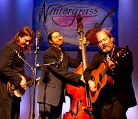 The Henhouse Prowlers @ Wintergrass 2011-7